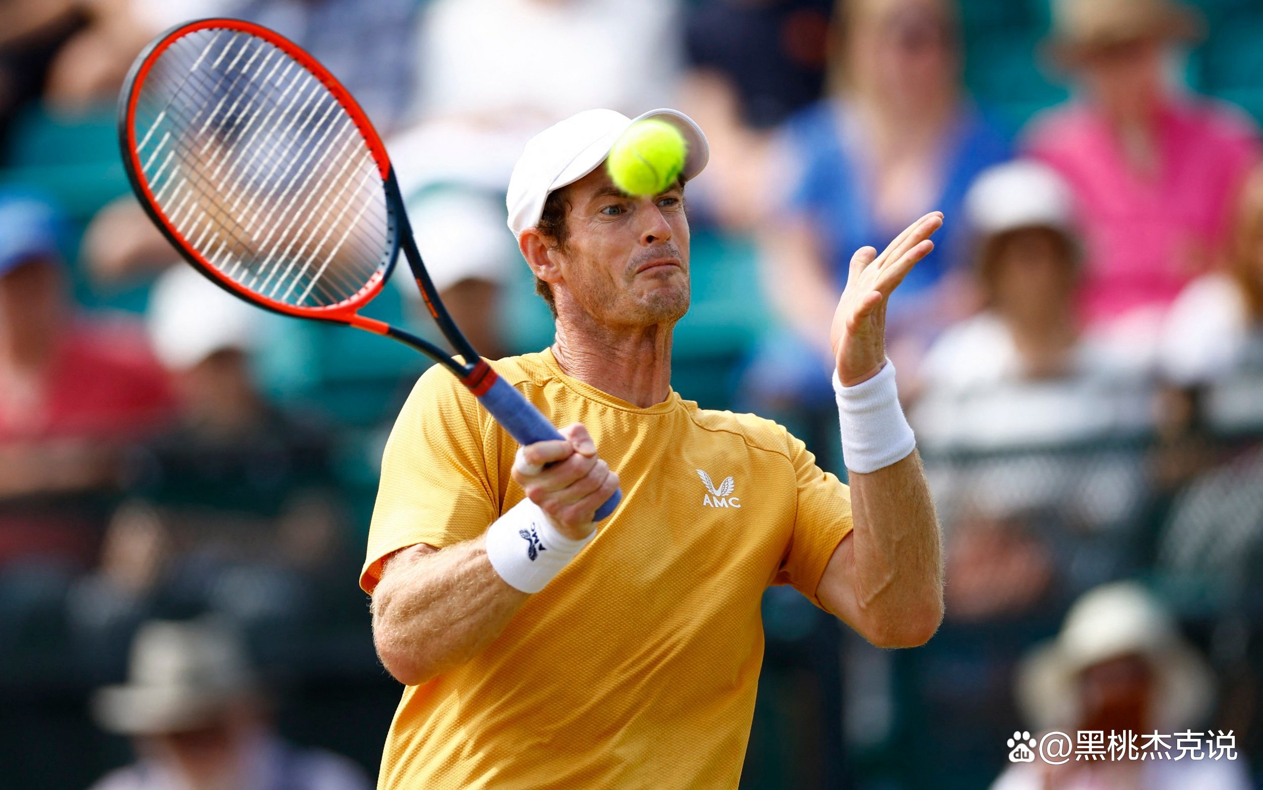 开云体育平台APP-拉沃尔杯横扫温网，穆雷带队取胜