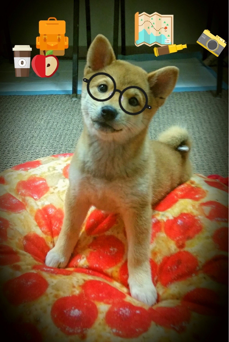 开云体育在线-范弗利特13记三分如钢钉，76人击溃开拓者令利拉德折腰