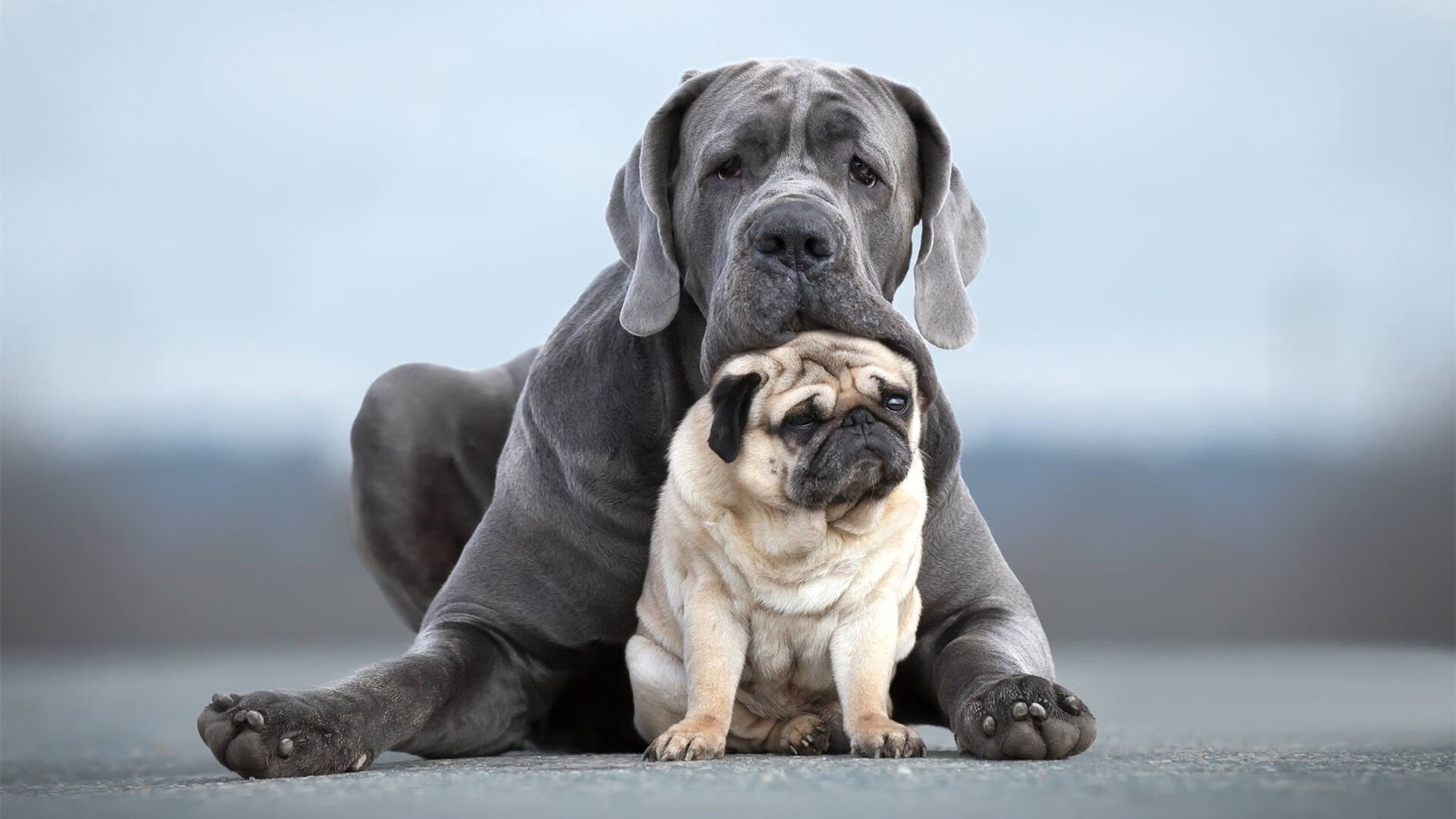 唯一性战术棋局曼城封锁比利时核心，赖斯一子定乾坤，当精密机器遇见胜负手