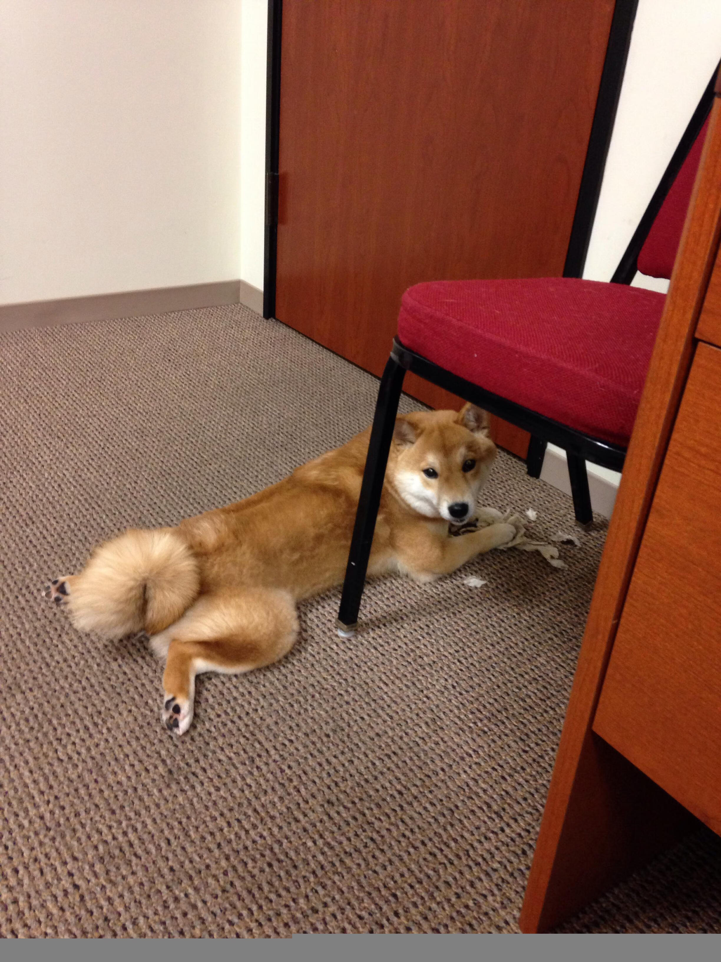 开云sport-足球的悖论,当小国的冷门遇见巨星的大舞台症候群