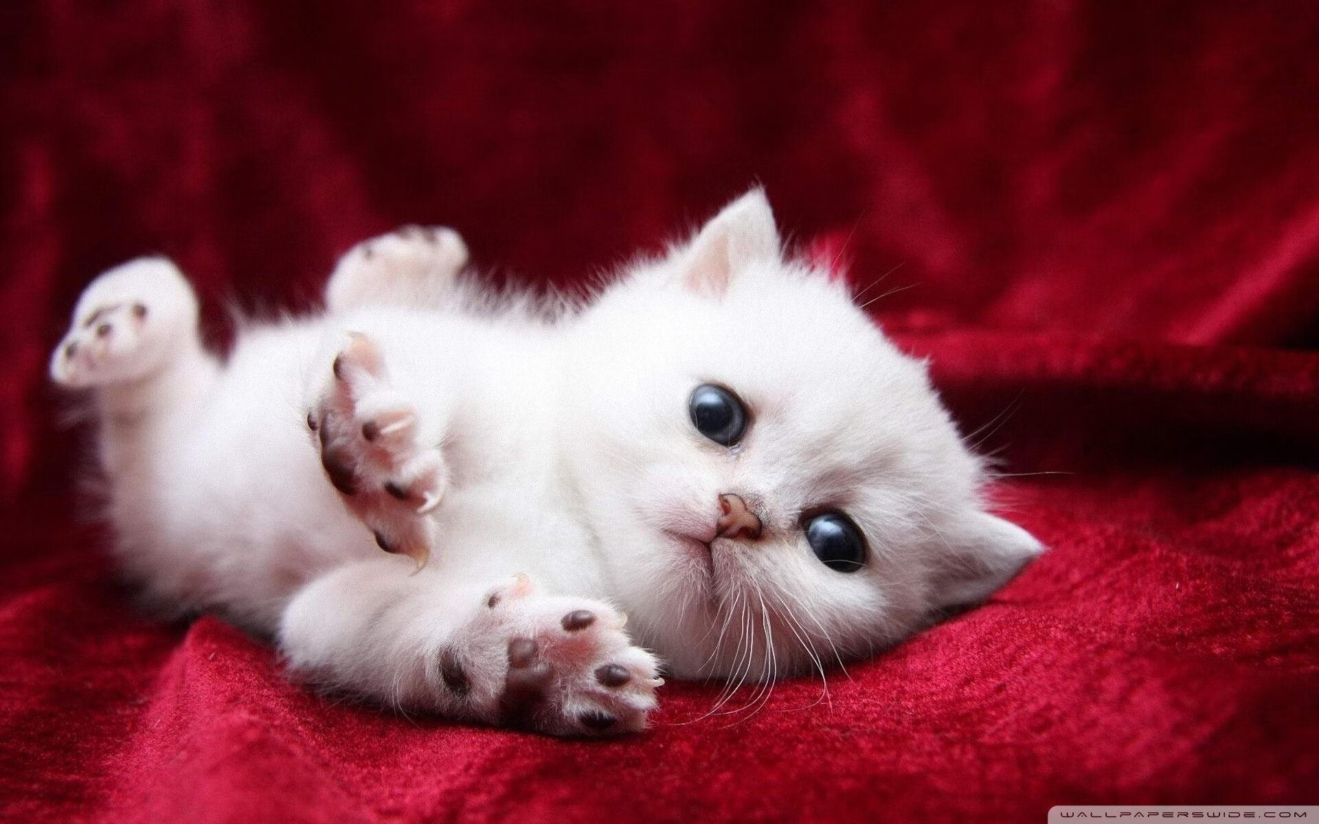 开云APP-独舞休斯顿,保罗在世界排名争夺战中接管比赛,火箭击溃马刺