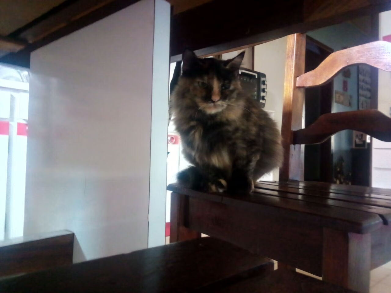 彩虹之盾撼动德甲巨人，临时归乡的基米希，一脚踢出南非足球历史