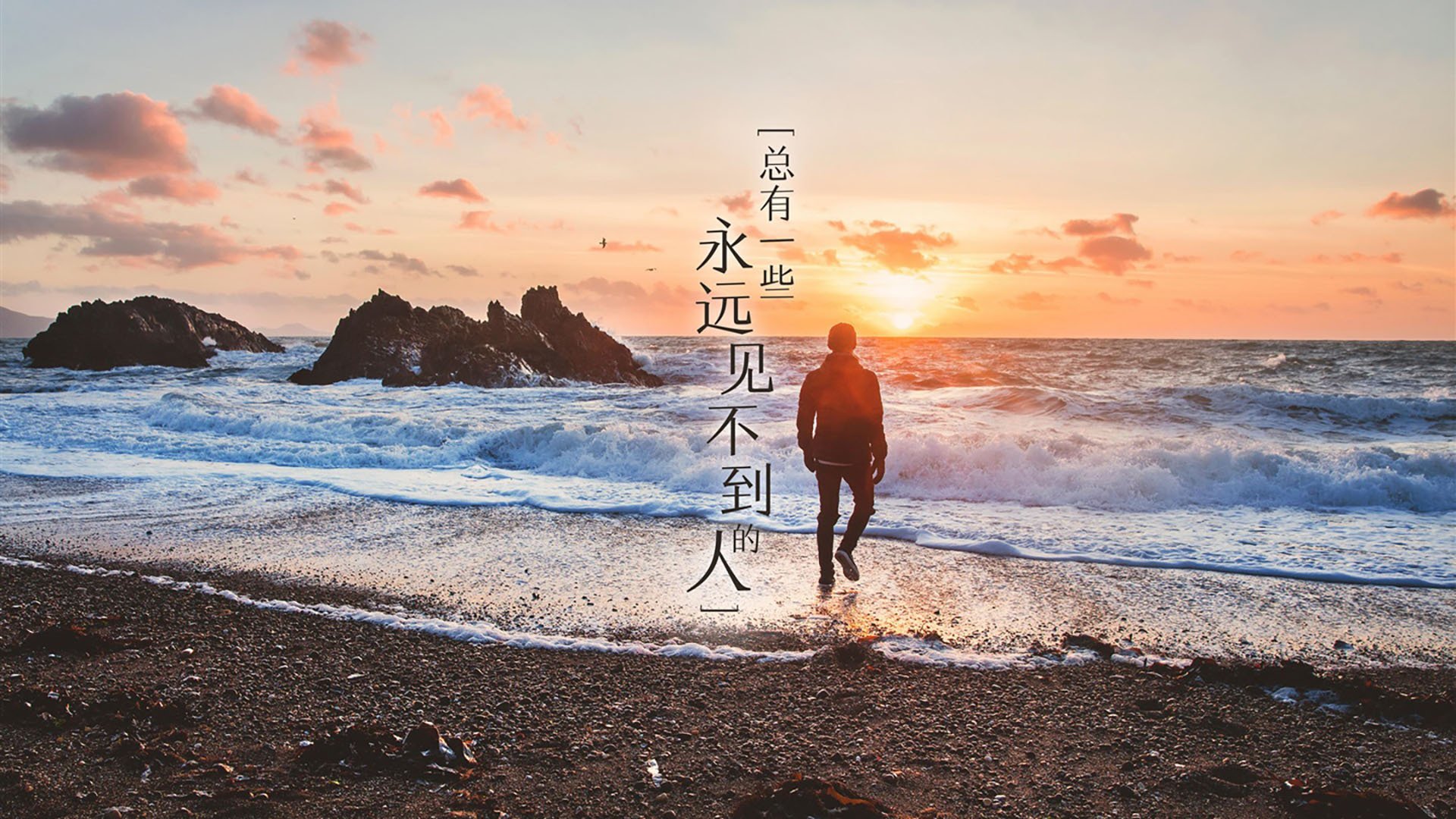 极速与热血的唯一交汇点,当F1年度争冠焦点战遇上公牛掀翻广东队
