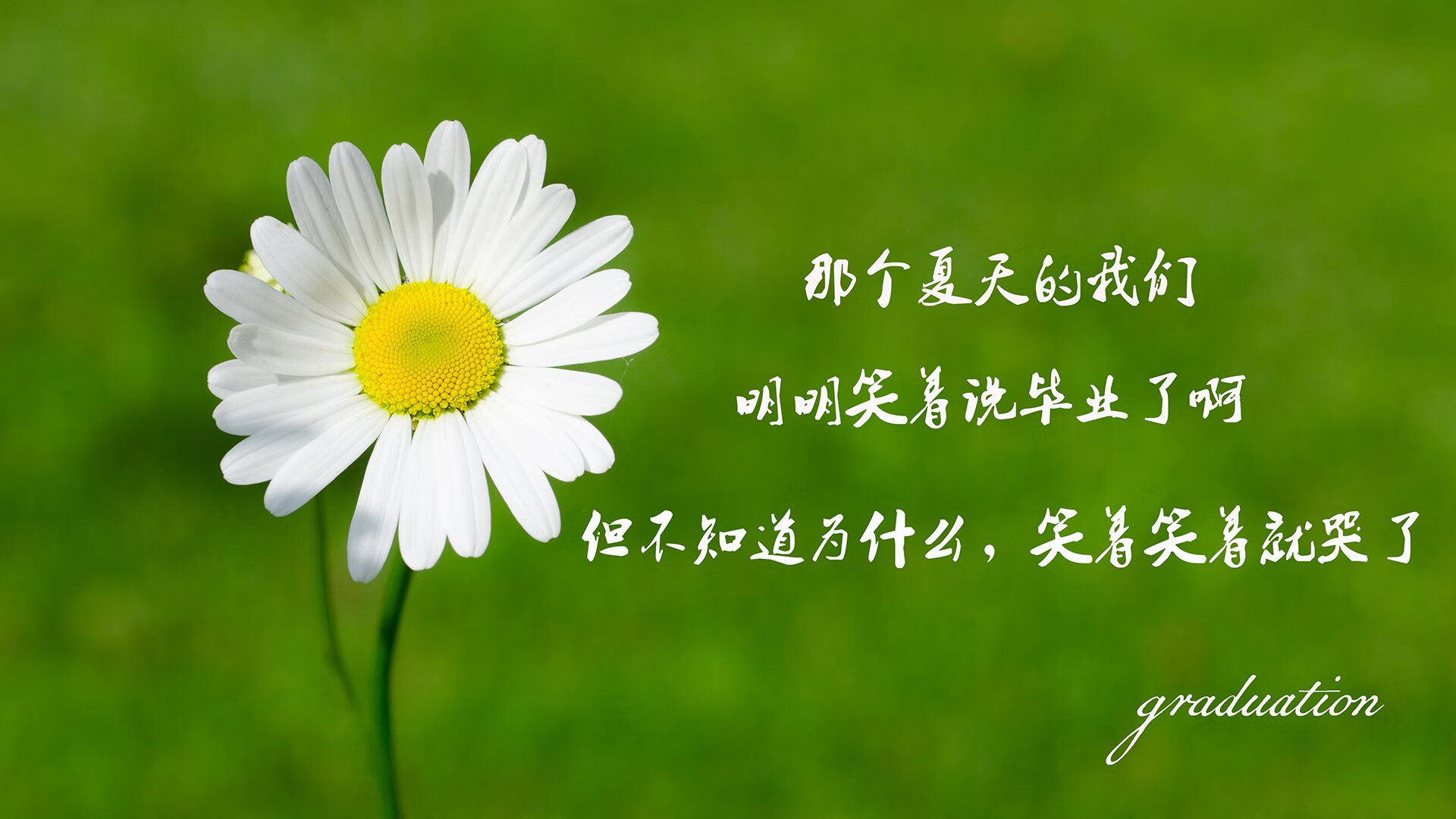 开云-非常有戏剧性。为了写出唯一性,我们需要构建一个特定的、充满戏剧张力的叙事背景,让波兰完胜英格兰和登贝莱致命一击这两个看似矛盾(登贝莱是法国人)的元素,在一个合理的、充满宿命感的故事里合二为一