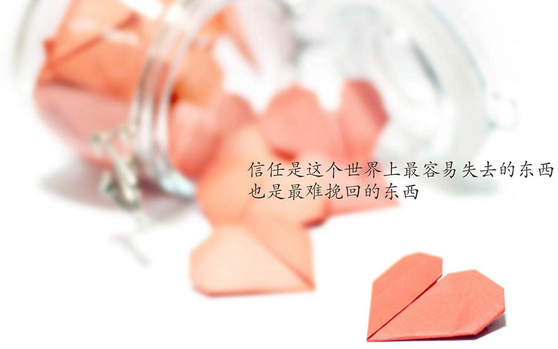 开云体育平台APP-底格里斯河畔的奇迹，2026世界杯F组生死战，德容如何用一脚传球改写伊拉克与美国的宿命对决