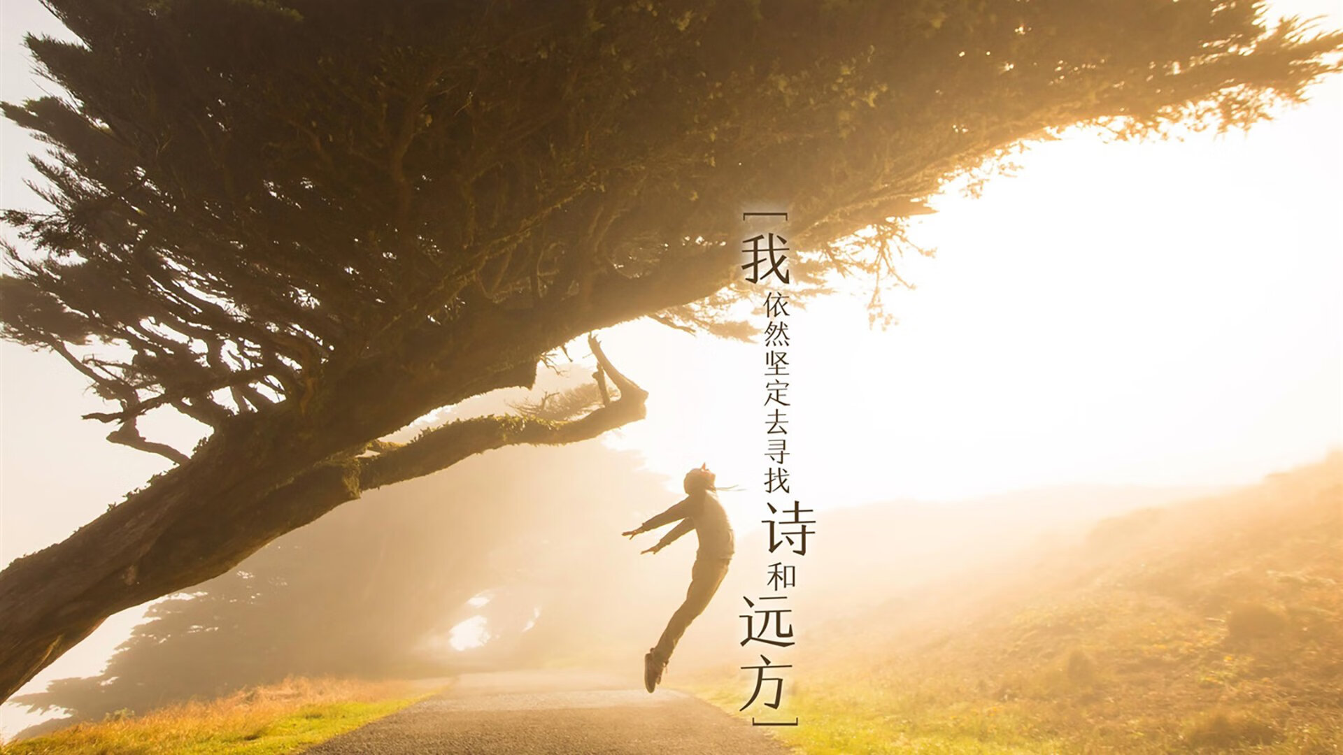 冰与沙的绝唱,2026世界杯D组,维京战吼震碎沙漠幻影,登贝莱致命一击封存永恒